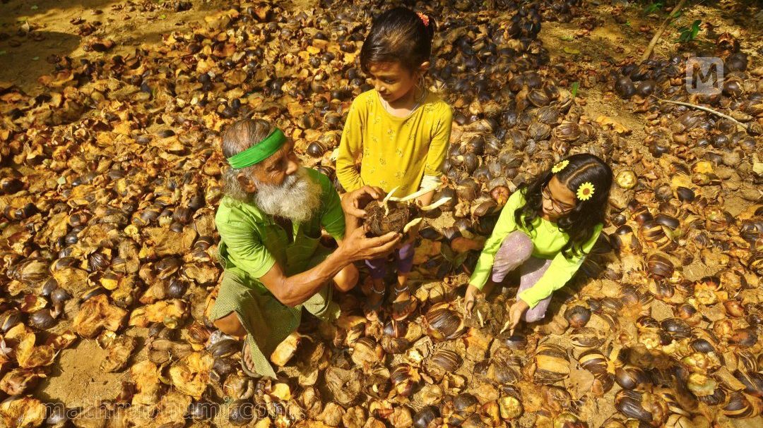 Kallur Balan, Kerala climate activist, devotes life to environmental conservation