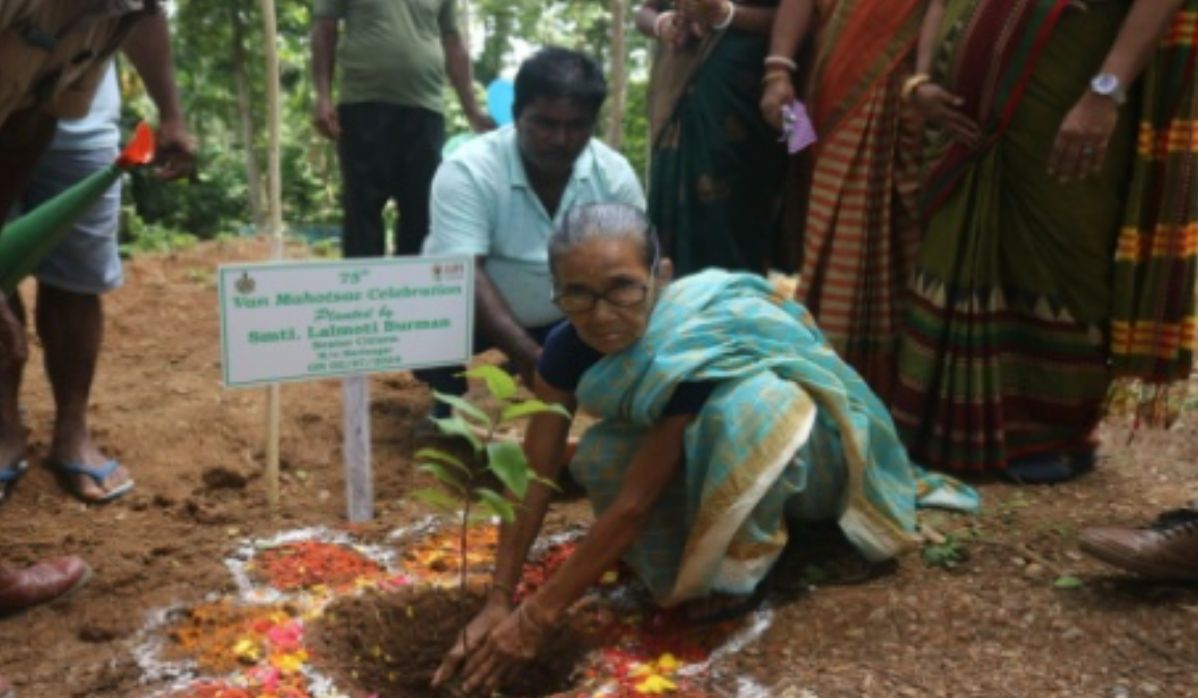 Van Mahotsava Celebrated in Middle Andaman Promoting Both Environmental Conservation and Women Empowerment