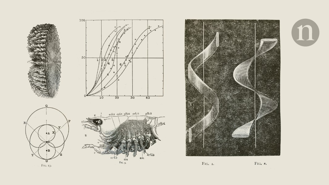 Did the diarist who chronicled the Great Fire of London make up a scientific instrument?