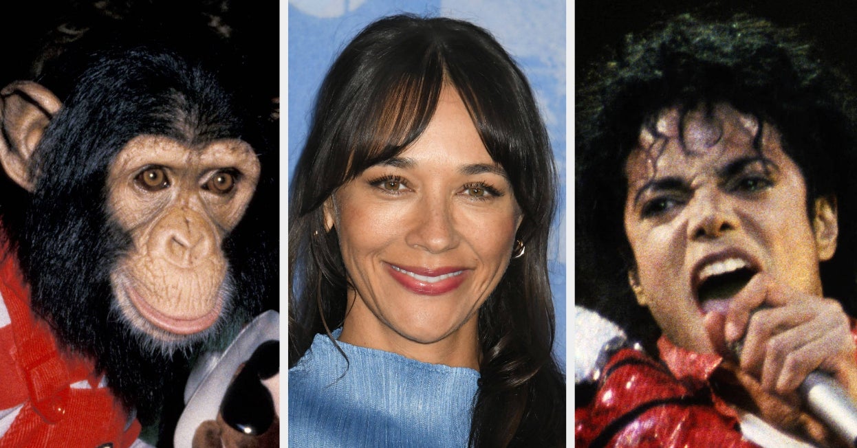 “Traumatic”: Rashida Jones Just Casually Revealed That She Was Bitten By Michael Jackson’s Pet Chimpanzee Bubbles As A Kid After She “Slapped” It For Stealing Her Hairband