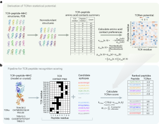 Structure-based prediction of T cell receptor recognition of unseen epitopes using TCRen