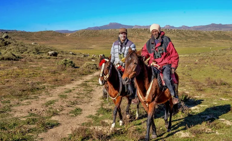 Claudio Sillero and a colleague track Ethiopian wolves on horseback in mountainous terrain