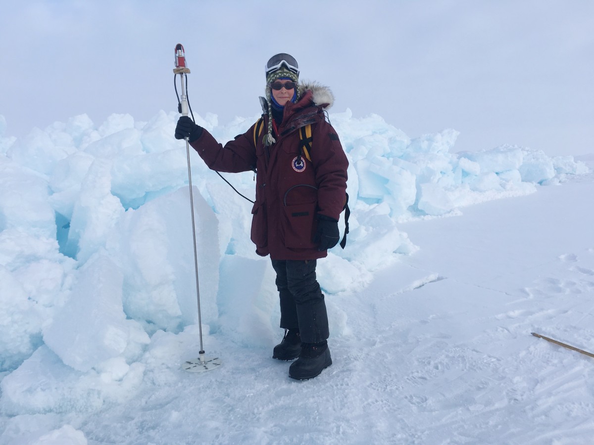 Euro News: Polar bear tracking tech breakthrough could boost conservation as climate heats up