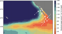 Evidence of dark oxygen production at the abyssal seafloor