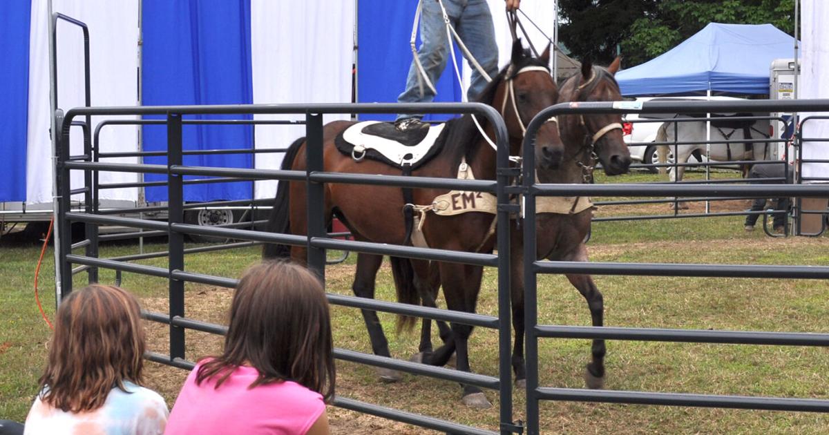 Areli Equine Entertainment performs daily at Clarion County Fair