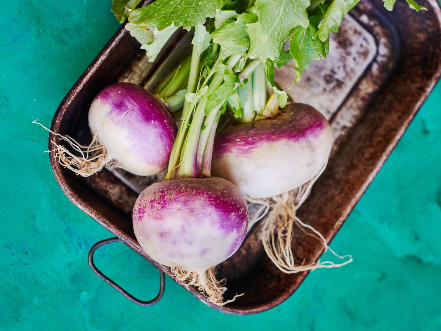 Turnip Benefits and How to Cook with This Versatile Veggie