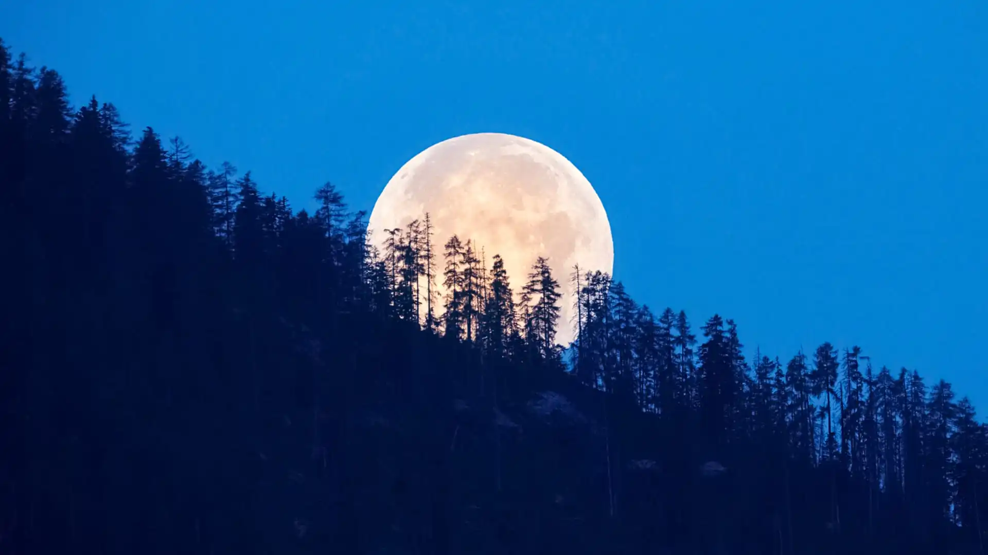 Full Sturgeon Moon in August