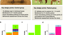 Early-life gut bacterial community structure predicts disease risk and athletic performance in horses bred for racing