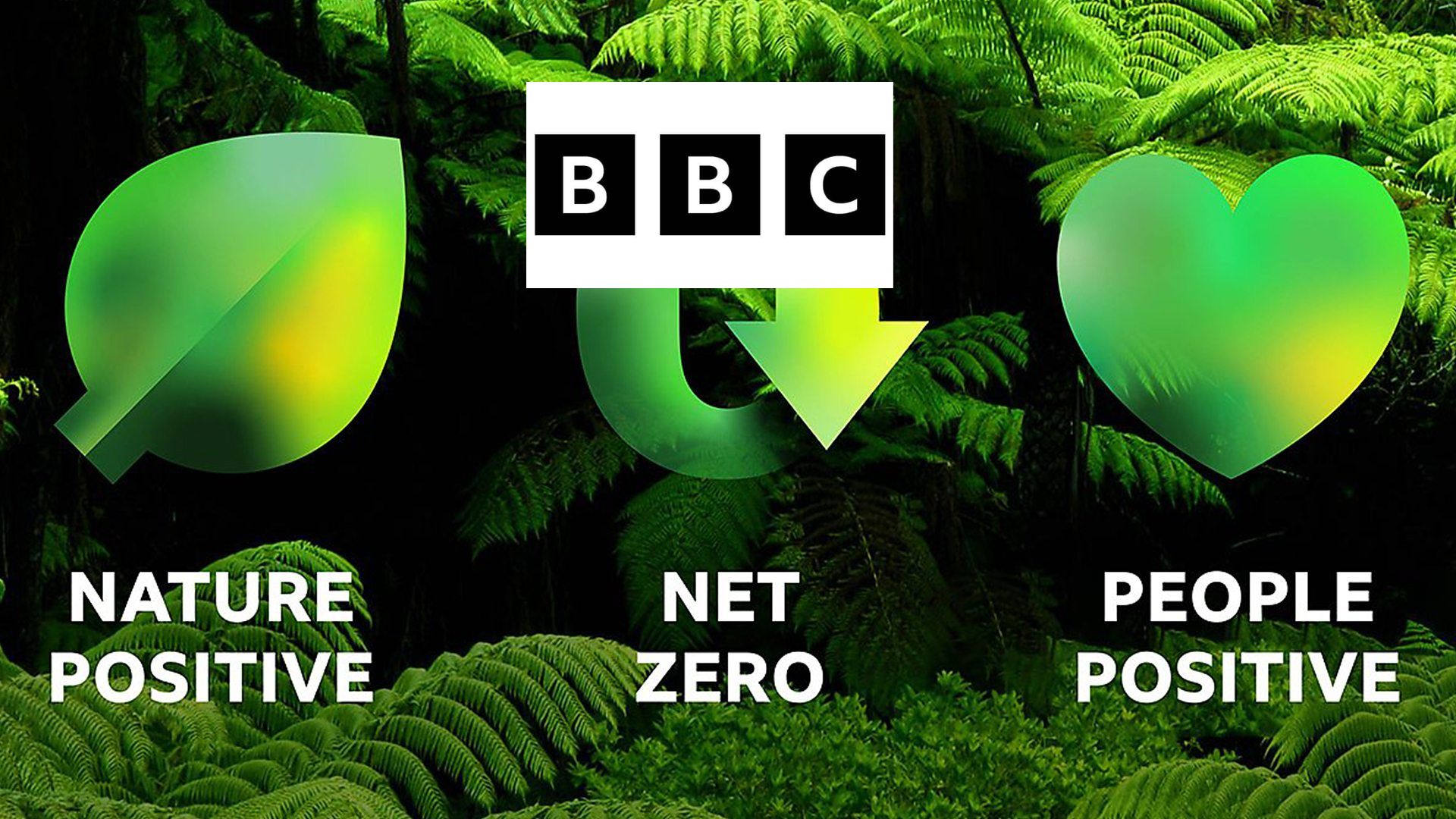 BBC’s Net Zero and Nature Positive Goals Approved by Science-Based Targets Initiative, Committing to 90% Emission Reduction by 2050