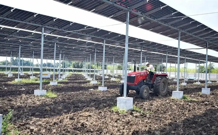 Soil preparation underway at Section I, which is fully elevated, of the agrivoltaics plant near Parbhani. Image courtesy of NSEFI & GIZ.