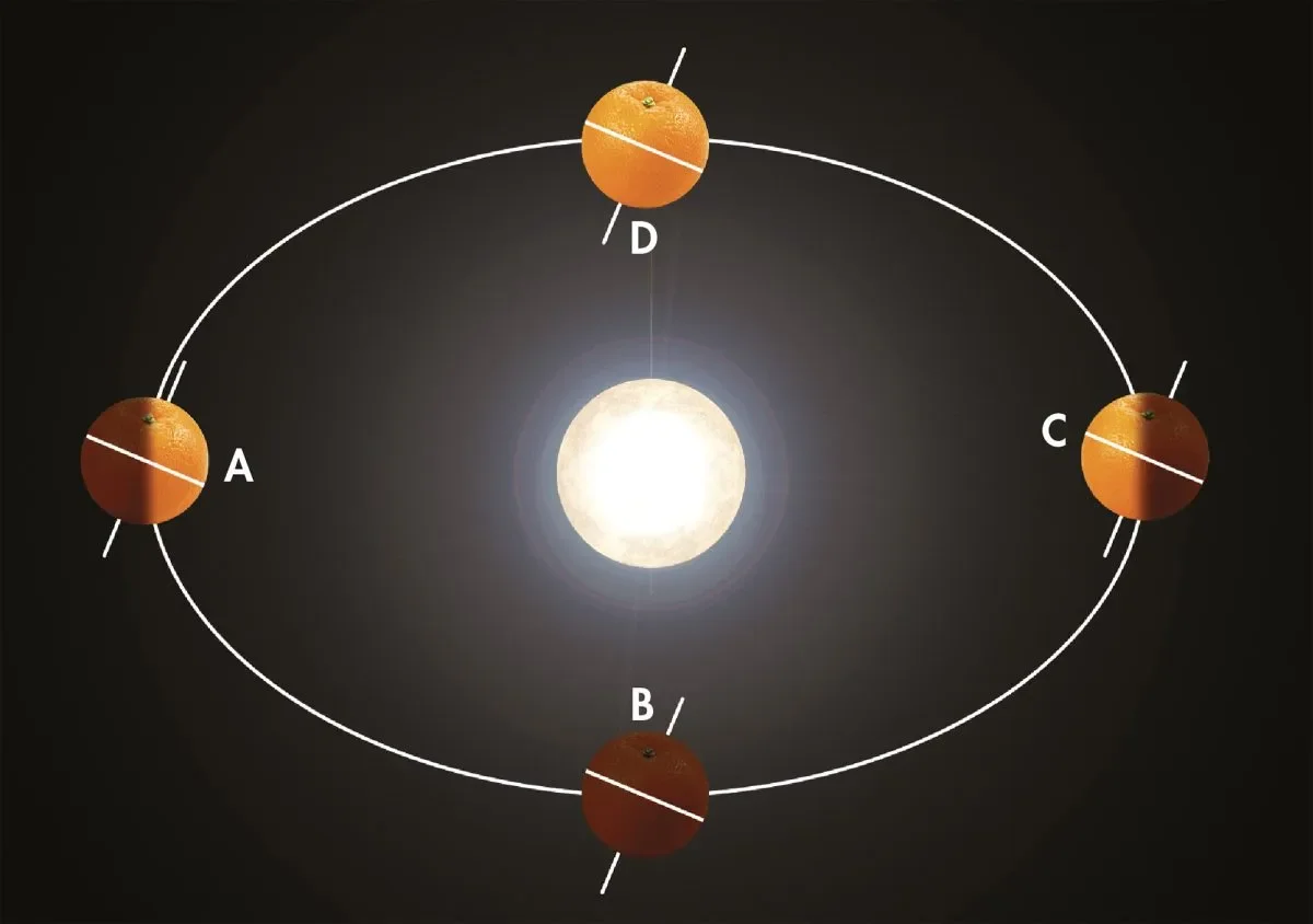 The differences between our seasons are caused by just a few degrees of slant. Credit: Michael Moltenbrey