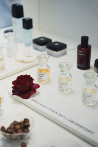 Inside the Chanel Open-Sky Laboratory, where 2,000 varieties of camellia flowers bloom