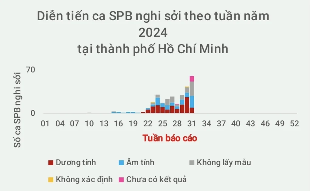 TPHCM ghi nhận 3 trẻ tử vong liên quan đến bệnh sởi - 1