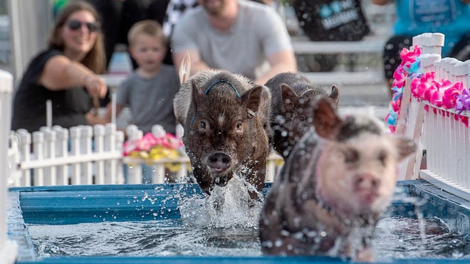 NC Mountain State Fair is in September: What to know about dates, prices, rides, entertainment