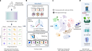 Deep learning large-scale drug discovery and repurposing