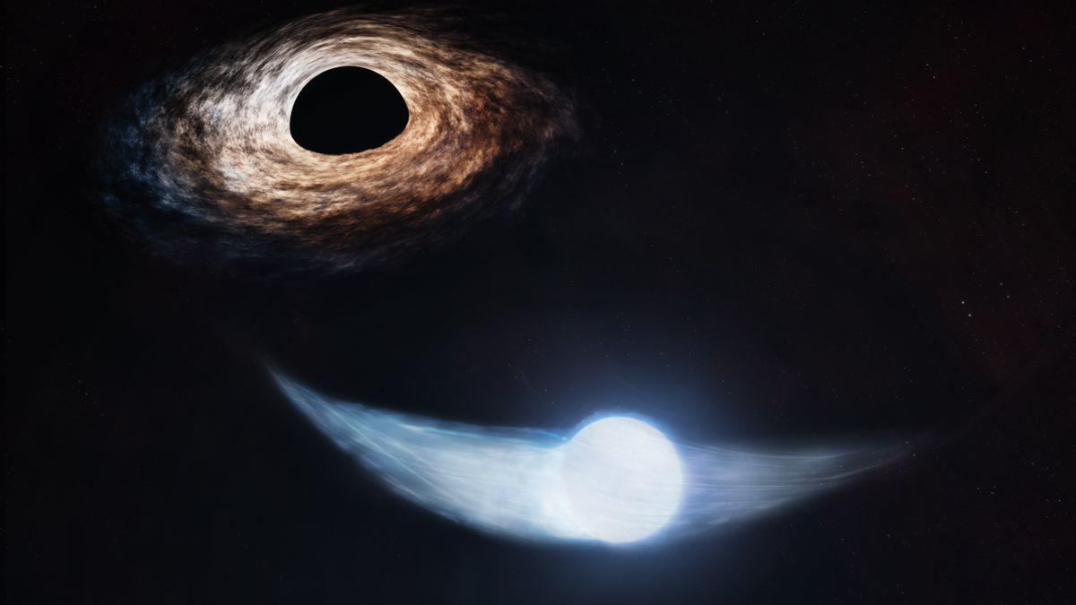 Astronomers find black hole’s favorite snack: ‘The star appears to be living to die another day’