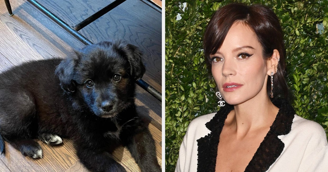 Lily Allen Admitted To Returning The Puppy She And David Harbour Adopted During COVID-19 After It Ate Her And Her Children’s Passports And “Ruined” Her Life