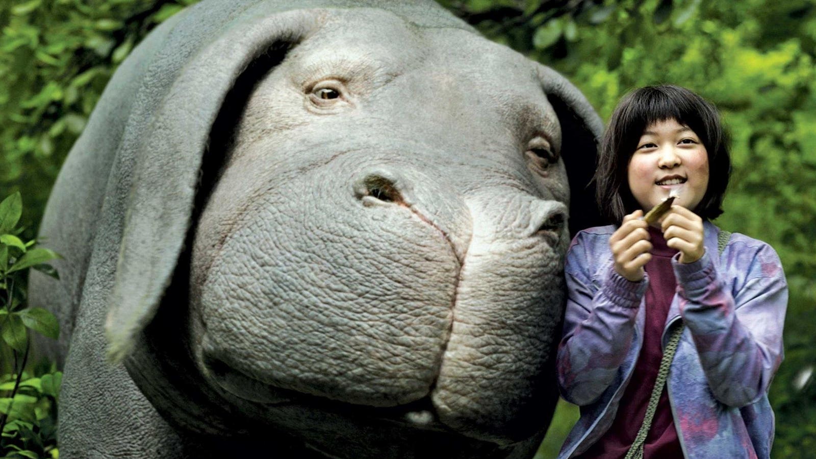 25 Must-Watch Movies About Animals