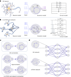 Network model with internal complexity bridges artificial intelligence and neuroscience