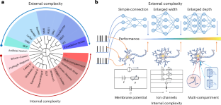 Network model with internal complexity bridges artificial intelligence and neuroscience