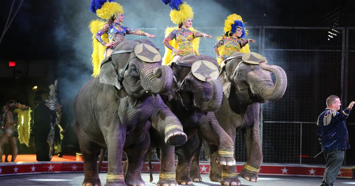 Traveling circus will bring elephants, trapeze artists, clowns and more to New Orleans area