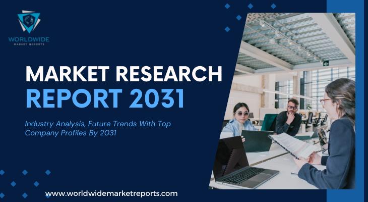 Sustainable Fashion And Beauty Market Size, Share, Trends, Competitive Landscape, Regional Analysis Forecasts By 2031 | Patagonia, Stella McCartney, Eileen Fisher, Reformation