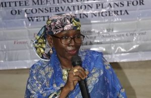 Commission pledges wetland conservation to support livelihood – EnviroNews – latest environment news, climate change, renewable energy