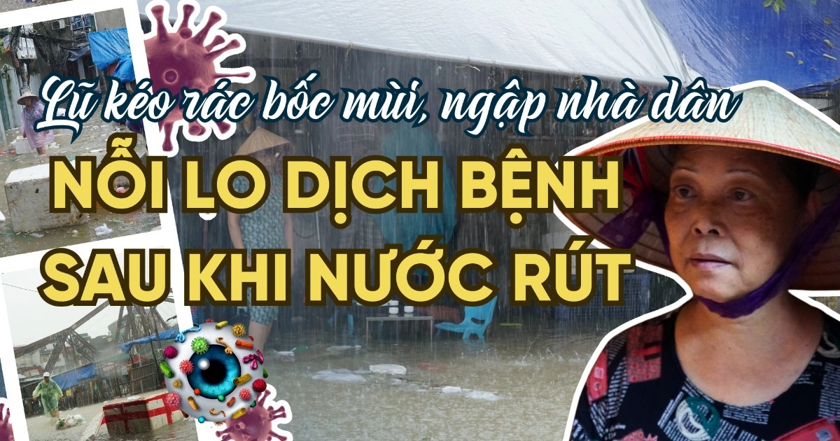 Lũ kéo xác thối, rác thải bủa vây: Người Hà Nội lo dịch bệnh khi nước rút