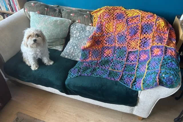 I made this blanket (dog there for scale)