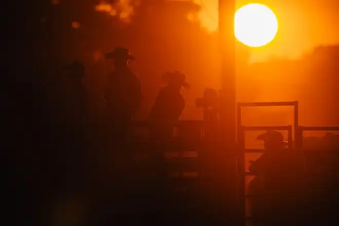 Cowboys take in bare back riding at the Tuscarawas County Fair.