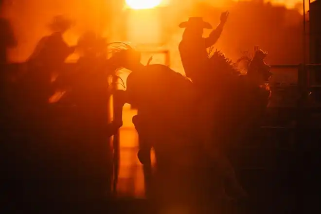 A cowboy participates in bare back riding at the Tuscarawas County Fair.