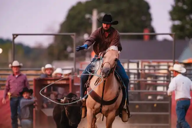 A contestant in team roping during the rodeo at the Tuscarawas County Fair.