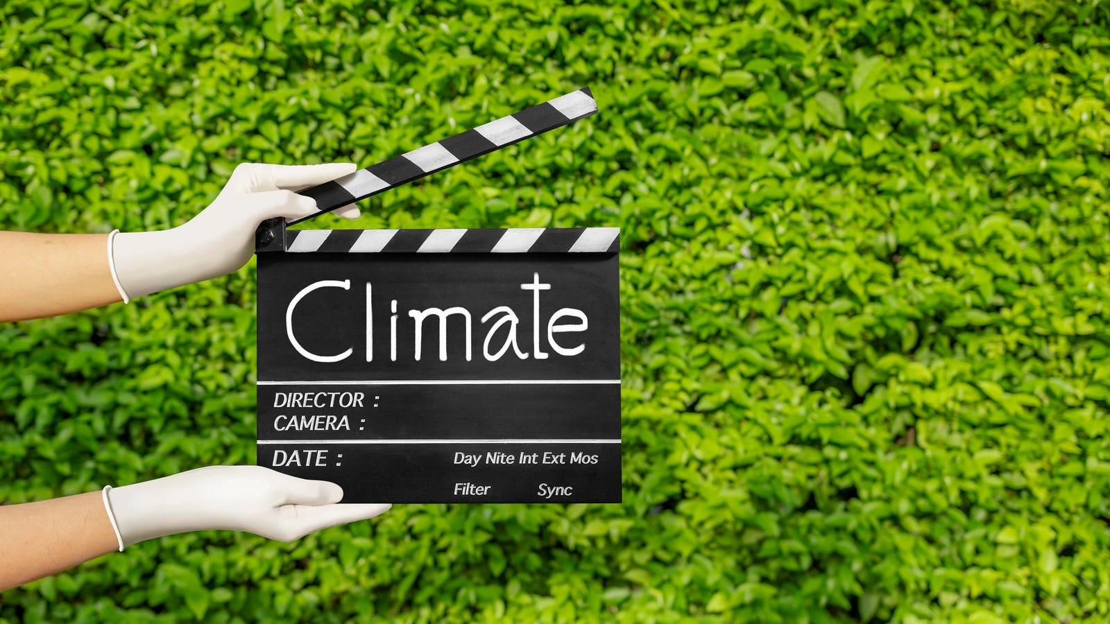 A New Industry Has Joined Climate Week This Year: Entertainment