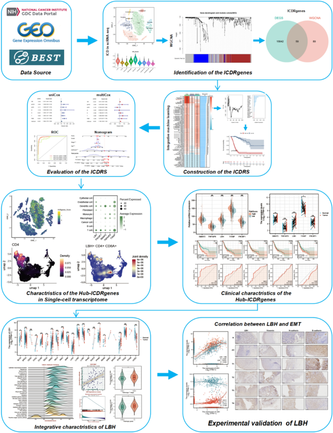 Multi-omics features of immunogenic cell death in gastric cancer identified by combining single-cell sequencing analysis and machine learning