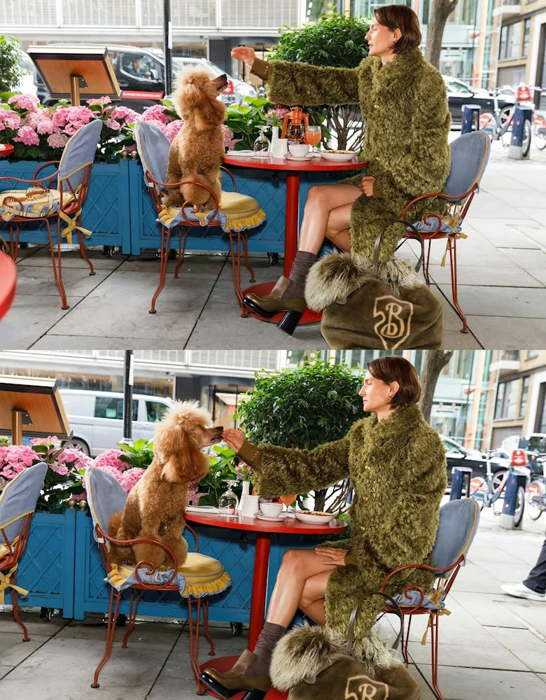 Model feeding dog