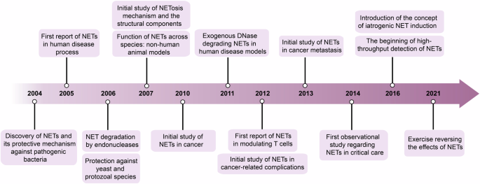 Neutrophil extracellular traps in homeostasis and disease