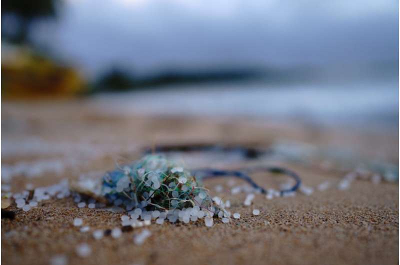 Scientists say there is enough evidence to agree to global action on microplastics