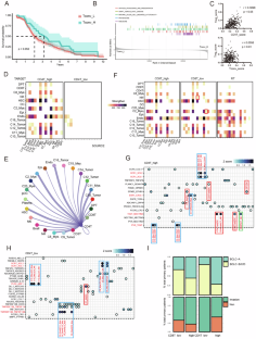 Hepatocellular carcinoma-specific epigenetic checkpoints bidirectionally regulate the antitumor immunity of CD4 + T cells