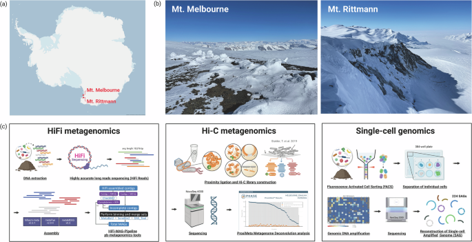 Genomic profiling of Antarctic geothermal microbiomes using long-read, Hi-C, and single-cell techniques