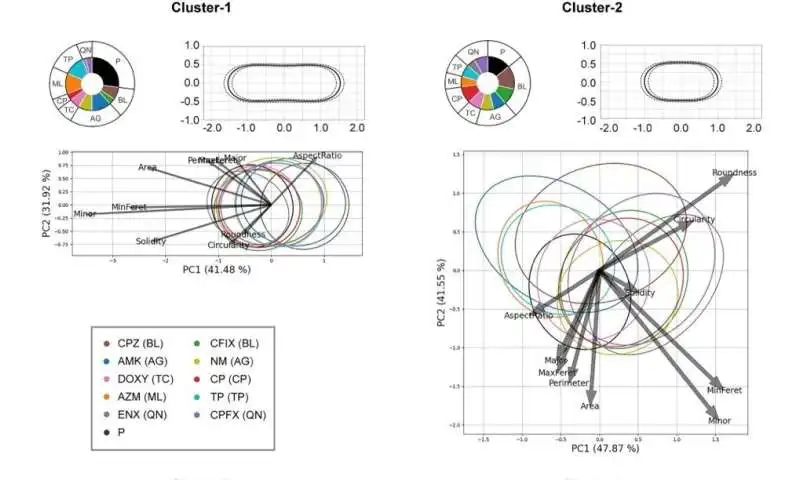 Size matters: bioinformatics accurately detects short, fat antibiotic-resistant bacteria