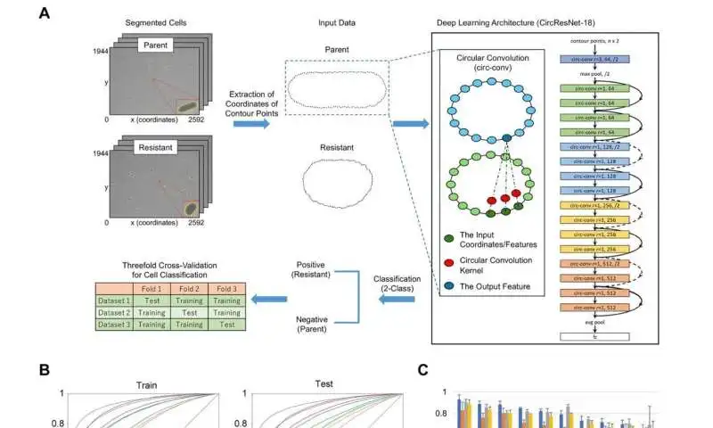 Size matters: bioinformatics accurately detects short, fat antibiotic-resistant bacteria