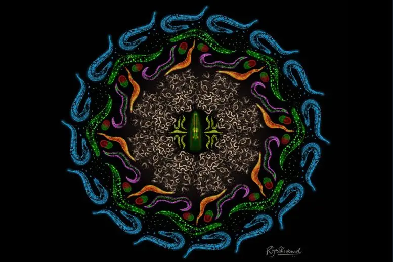 Nematodes Circle Brain Graphic