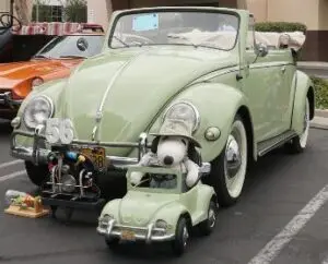 1956 Bug