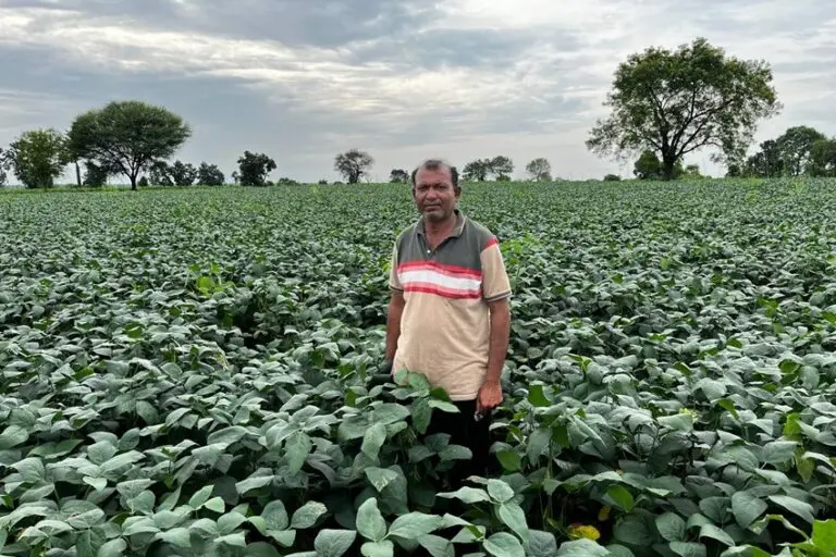 Jagan Sukhdev Joshi, who owns 1.6 hectares in Borgaon Math, Jalna, used 1,300 tractor-loads of silt from the desilted percolation tank, greatly increasing crop productivity. Image by Nidhi Jamwal.