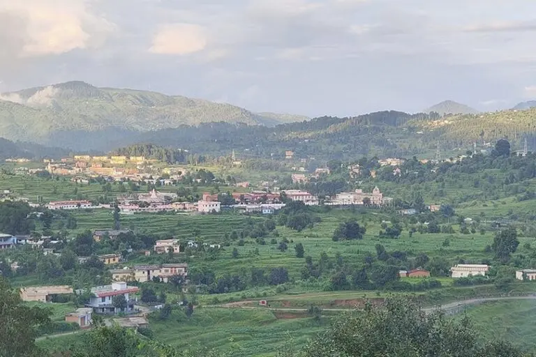 A landscape view of Champawat town, Uttarakhand. Urbanisation is a major driver of environmental change in the Himalayas. Image by WhiteRaven335 via Wikimedia Commons (CC-BY-SA-4.0).