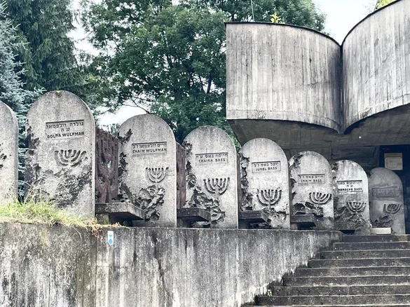 Headstones at Krakow New Jewish Cemetery. (Photo: Anthea Gerrie)