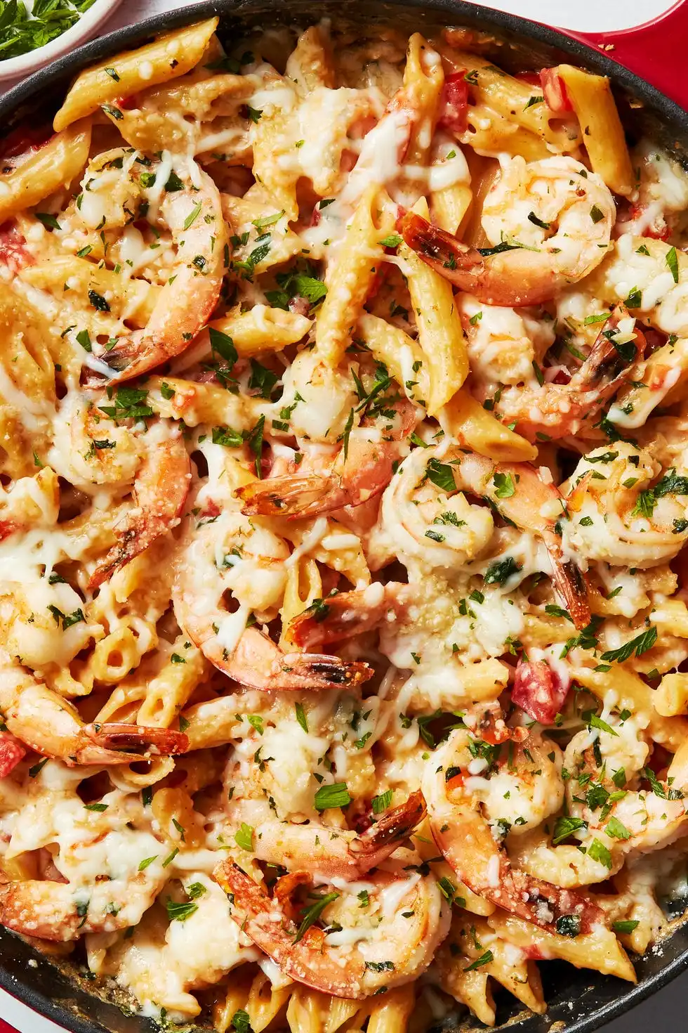 shrimp in an alfredo pasta bake