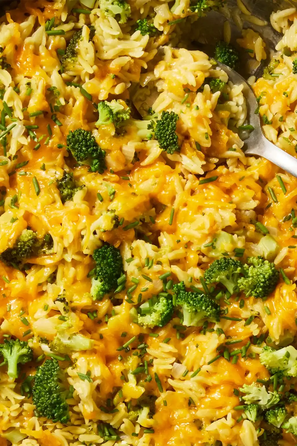 cheesy broccoli cheddar orzo in a pan