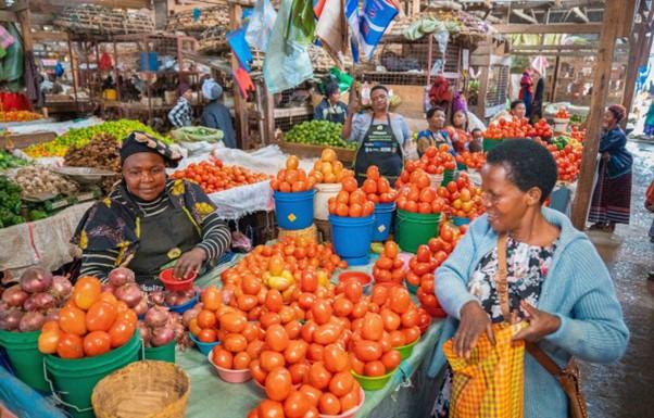 InfoPoint conference: World Food Day – Team Europe committed to support healthy diets and nutrition