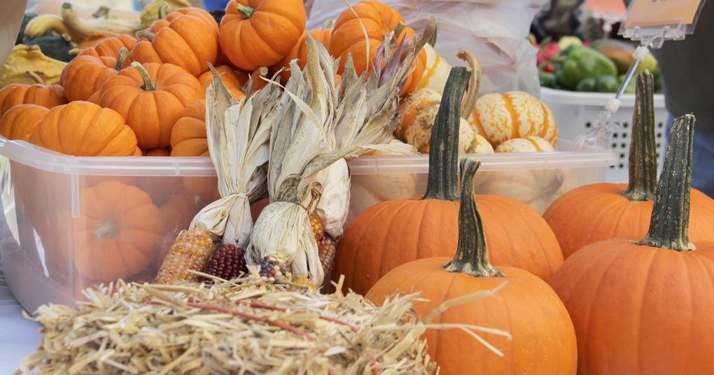 Artists, crafters to offer wares at Bedford Fall Foliage Festival